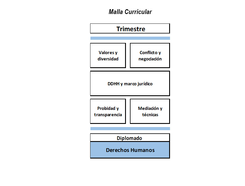 Imagen Malla Curricular